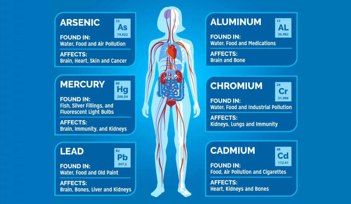 body toxin chart 2 xgagihqg body toxin chart 2 xgagihqg